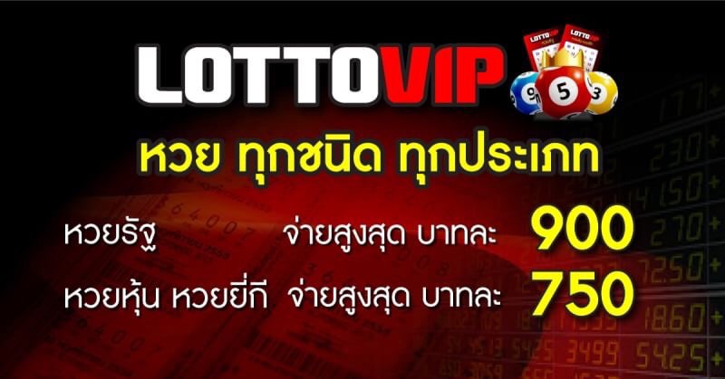 Image result for lottovip